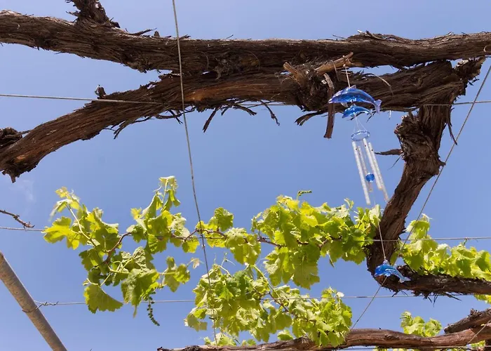 2 - Villa Is Orrosas - Francesca'S Holiday Home - Sa Crai Apartments Sardinian Experience * Lotzorai